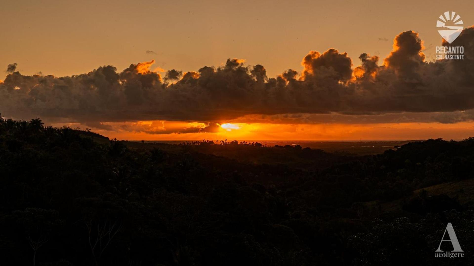 ホテル Pousada Recanto Sol Nascente, Luxo E Proximidade Com A Natureza Rio Formoso エクステリア 写真
