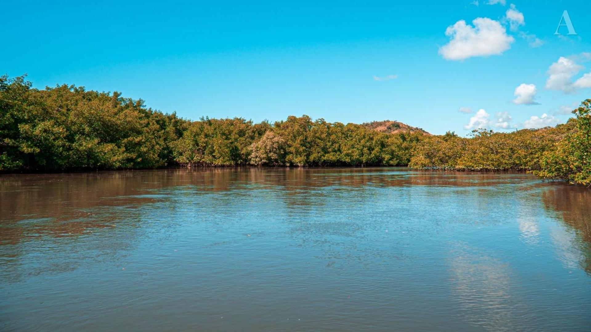 ホテル Pousada Recanto Sol Nascente, Luxo E Proximidade Com A Natureza Rio Formoso エクステリア 写真