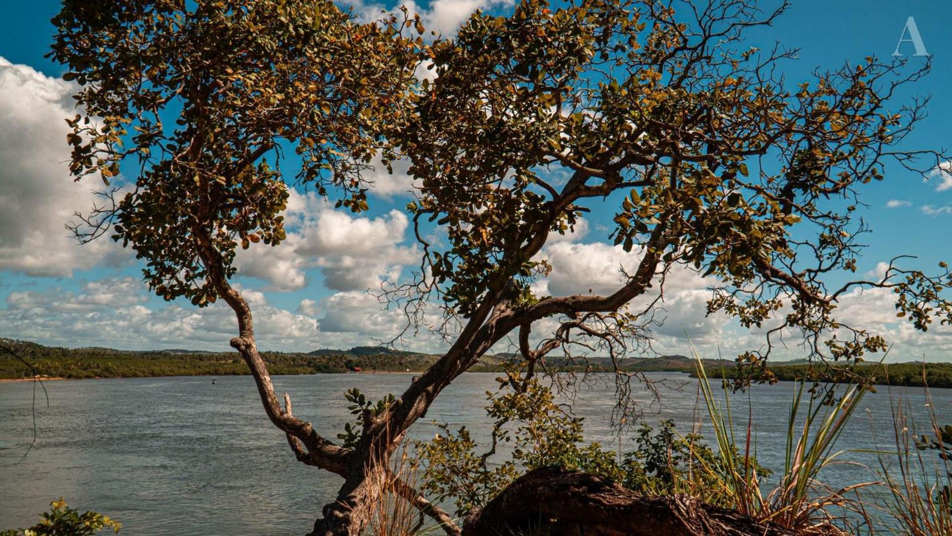 ホテル Pousada Recanto Sol Nascente, Luxo E Proximidade Com A Natureza Rio Formoso エクステリア 写真