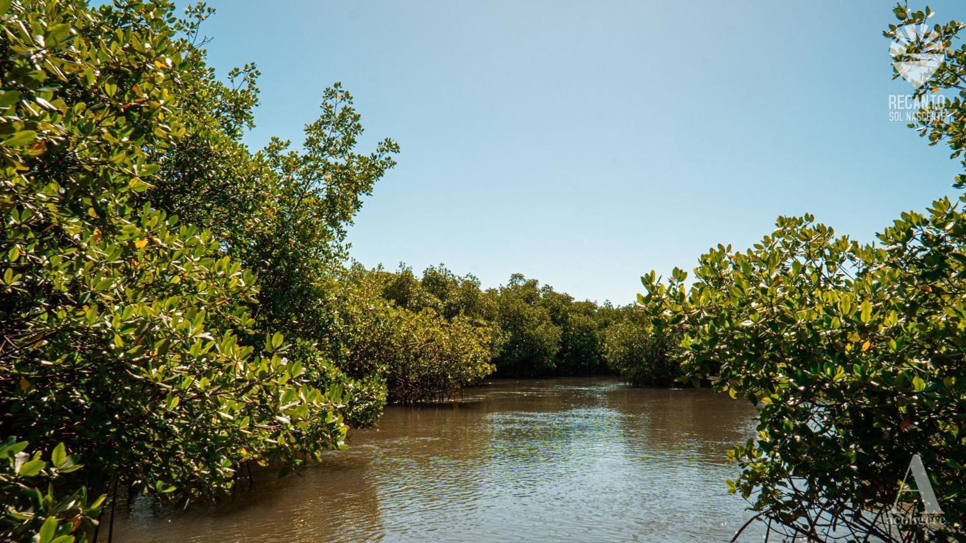 ホテル Pousada Recanto Sol Nascente, Luxo E Proximidade Com A Natureza Rio Formoso エクステリア 写真
