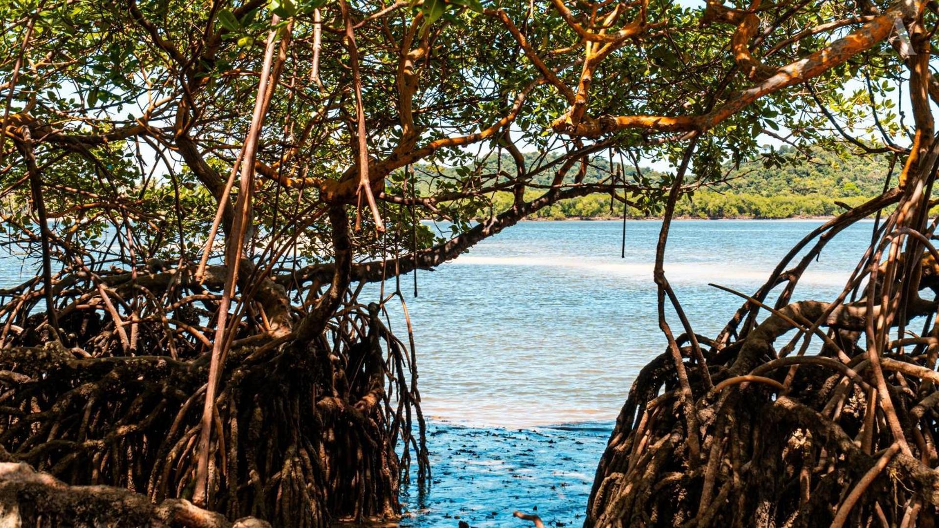 ホテル Pousada Recanto Sol Nascente, Luxo E Proximidade Com A Natureza Rio Formoso エクステリア 写真