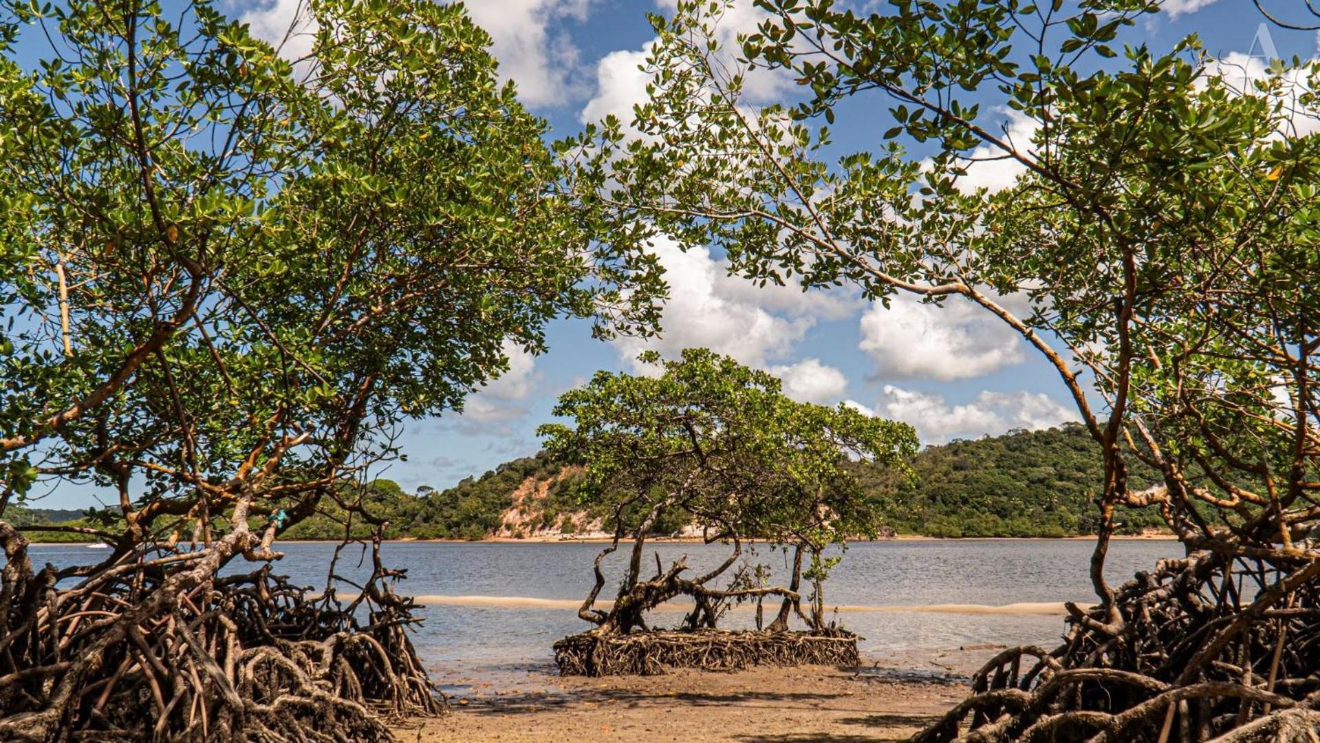 ホテル Pousada Recanto Sol Nascente, Luxo E Proximidade Com A Natureza Rio Formoso エクステリア 写真