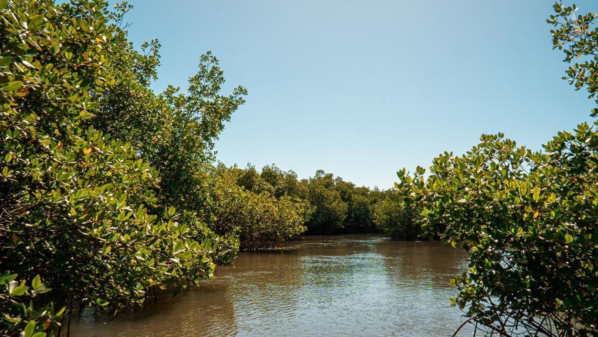 ホテル Pousada Recanto Sol Nascente, Luxo E Proximidade Com A Natureza Rio Formoso エクステリア 写真
